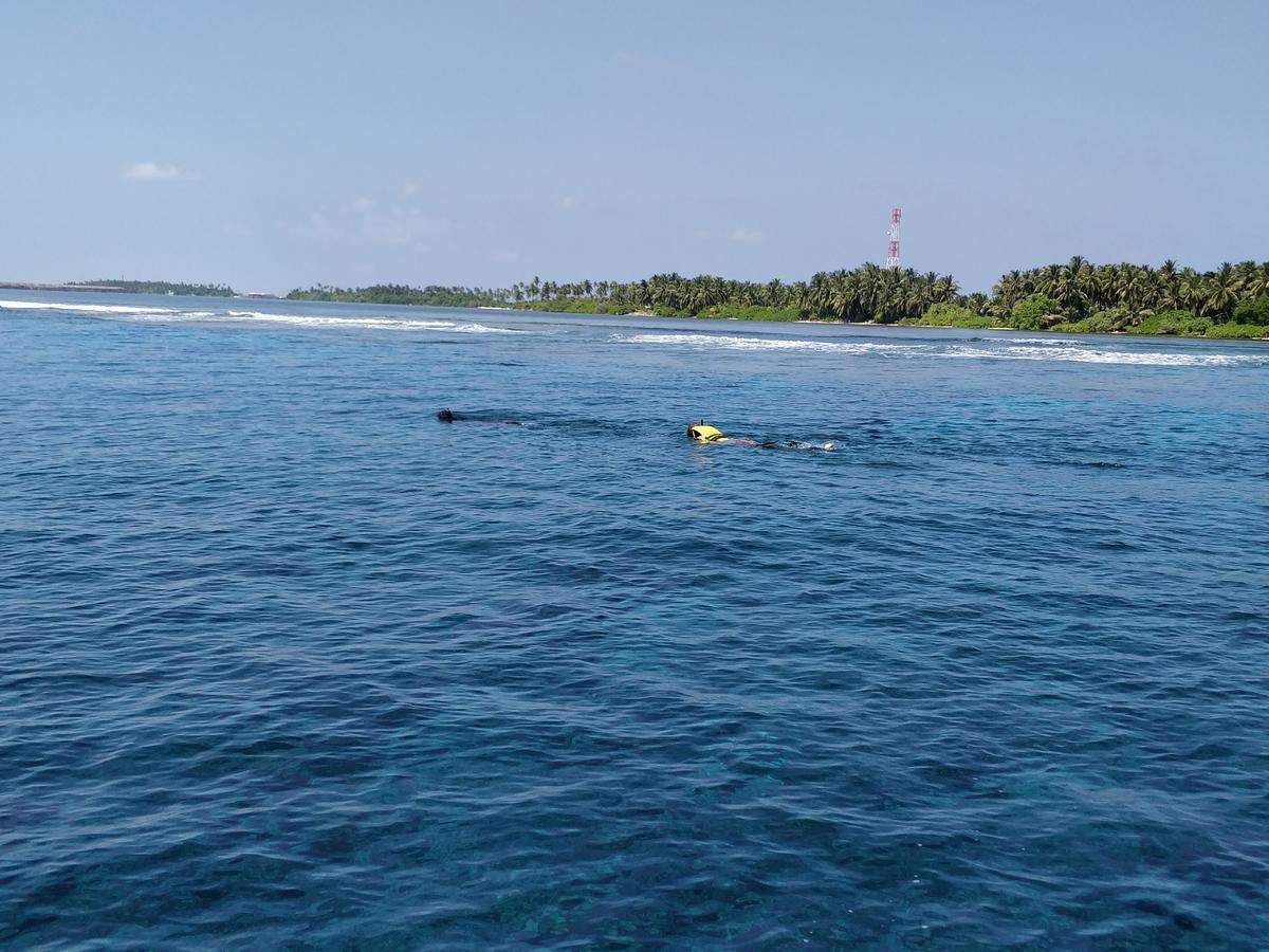 Отель Island Guest Maamendhoo Экстерьер фото